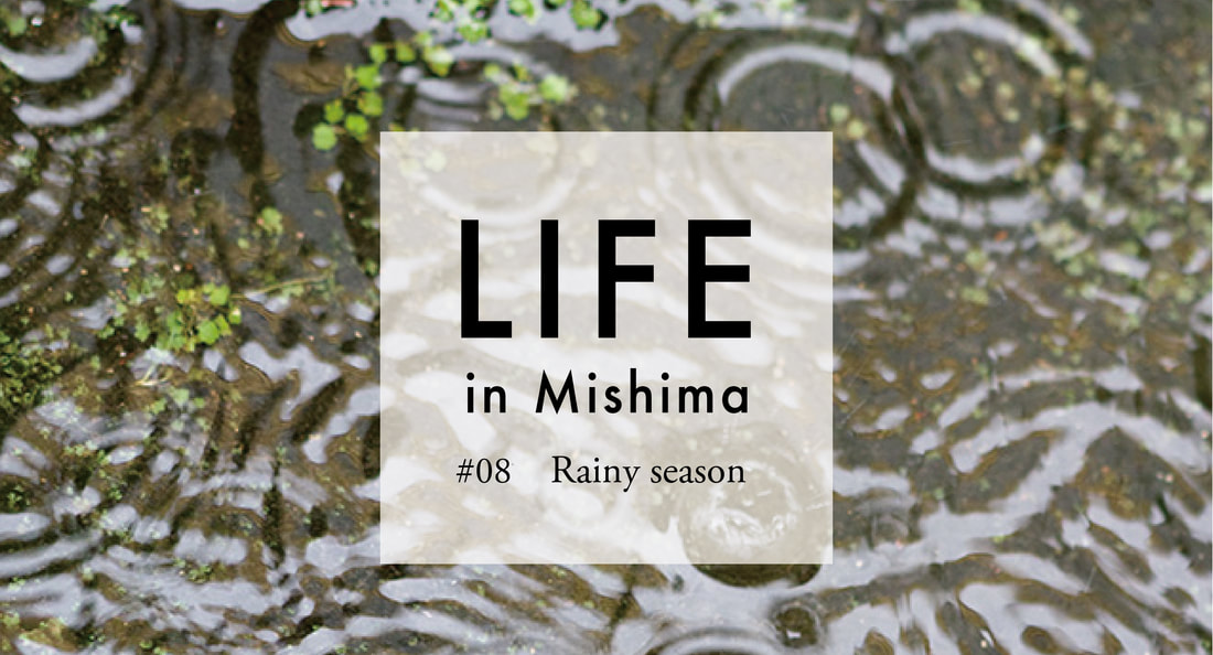 LIFE in MIshima #08 Rainy season