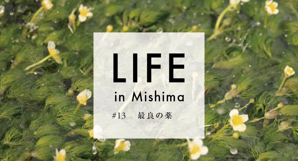 LIFE in Mishima #13 最良の薬