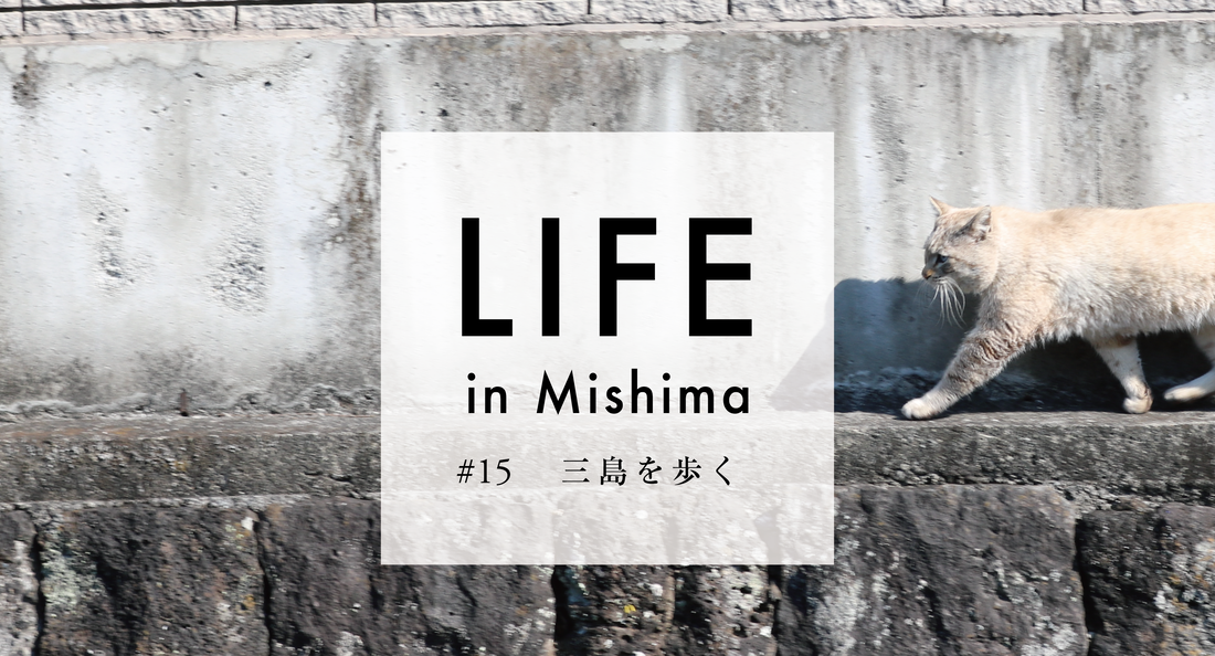 LIFE in Mishima #15 三島を歩く